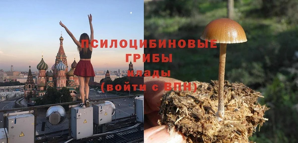 гидра Заволжье