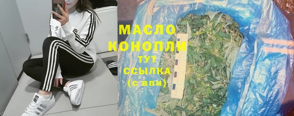 не бодяженный Заводоуковск
