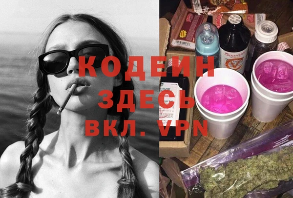 не бодяженный Заводоуковск