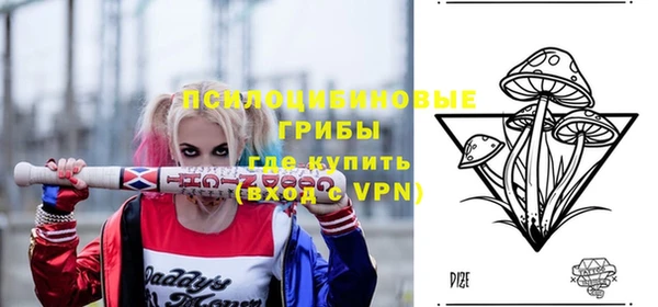 не бодяженный Заводоуковск