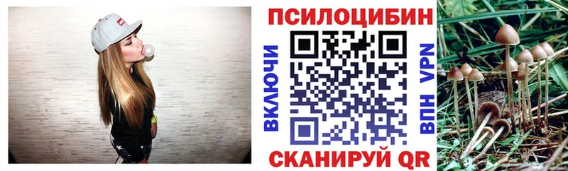 Купить закладки  Каменка  Галлюциногенные грибы мицелий 